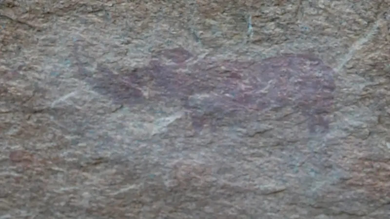 DSC02346.JPG