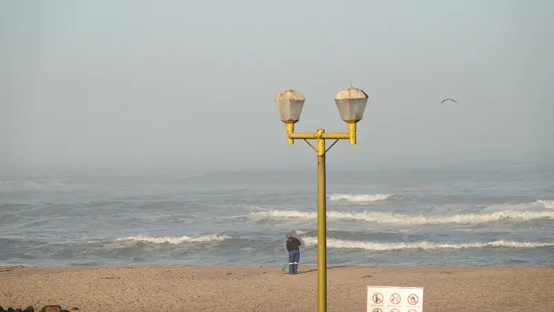 DSC02397.JPG