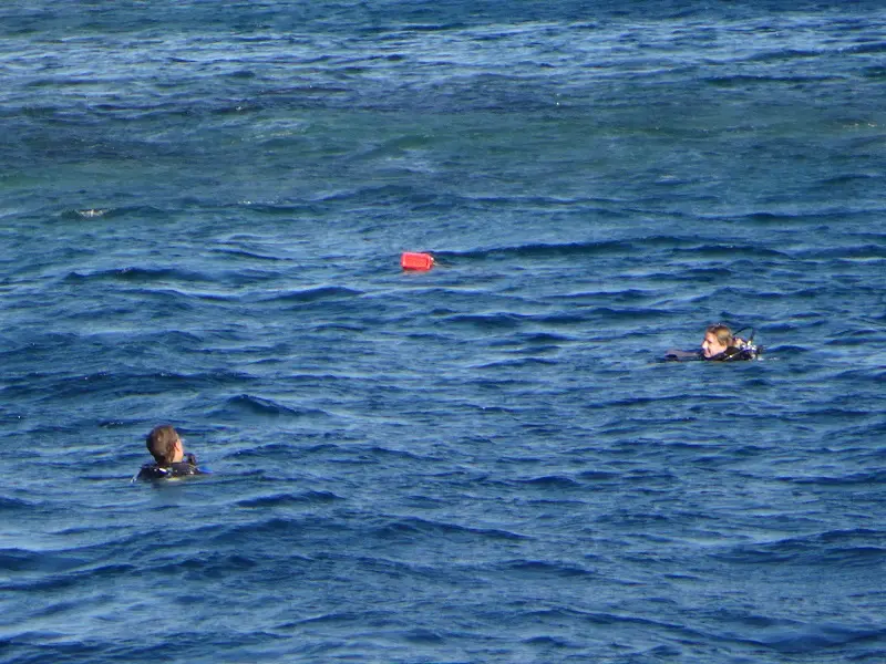 DSC02681.JPG