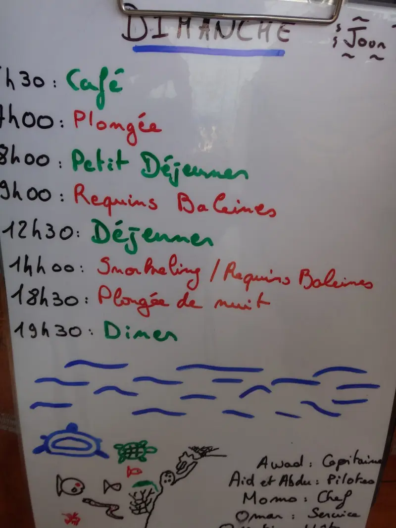 DSC02687.JPG