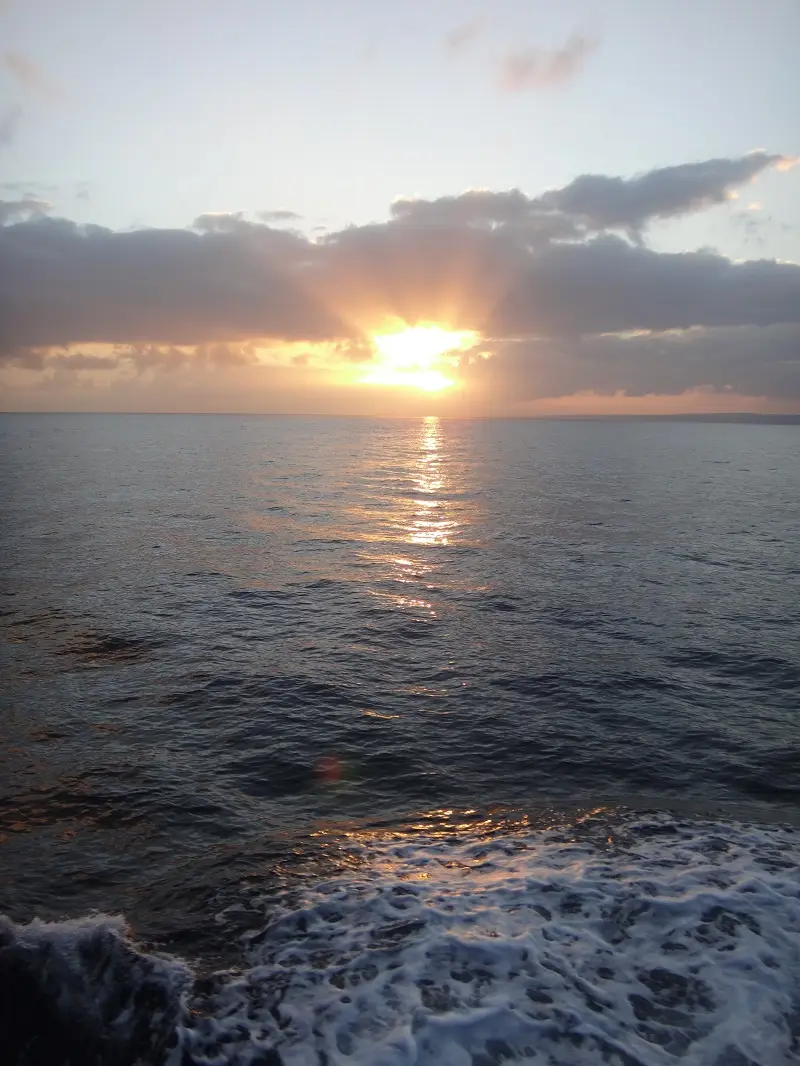 DSC02773-2.JPG