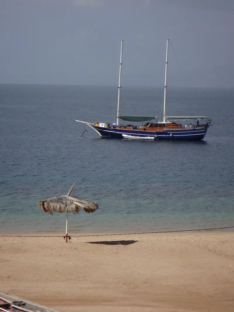 DSC02790-2.JPG