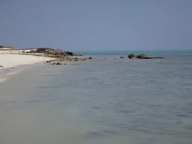 DSC02851.JPG