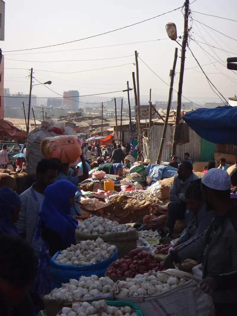 DSC02973-2.JPG