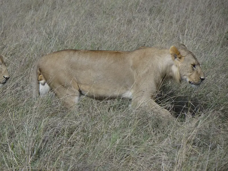 DSC03039-2.JPG