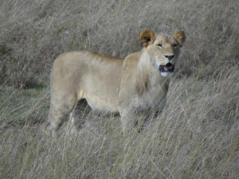 DSC03046-2.JPG