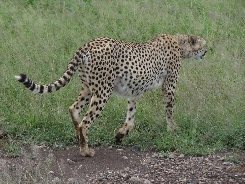 DSC03770.JPG
