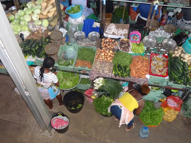 DSC03944-2.JPG