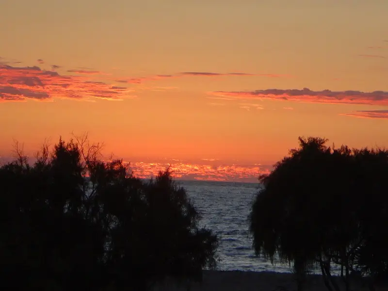 DSC04116-2.JPG