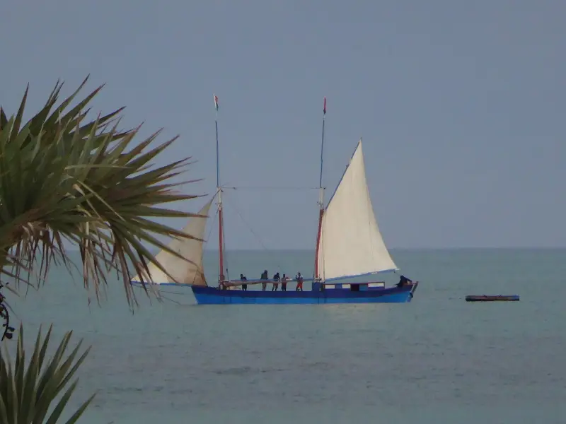 DSC04124.JPG
