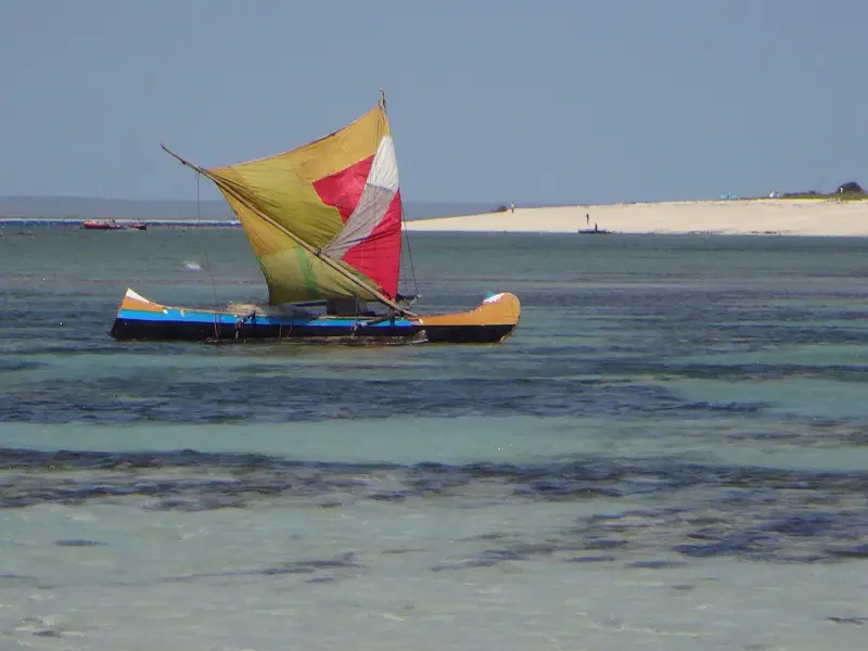 DSC04375-2.JPG