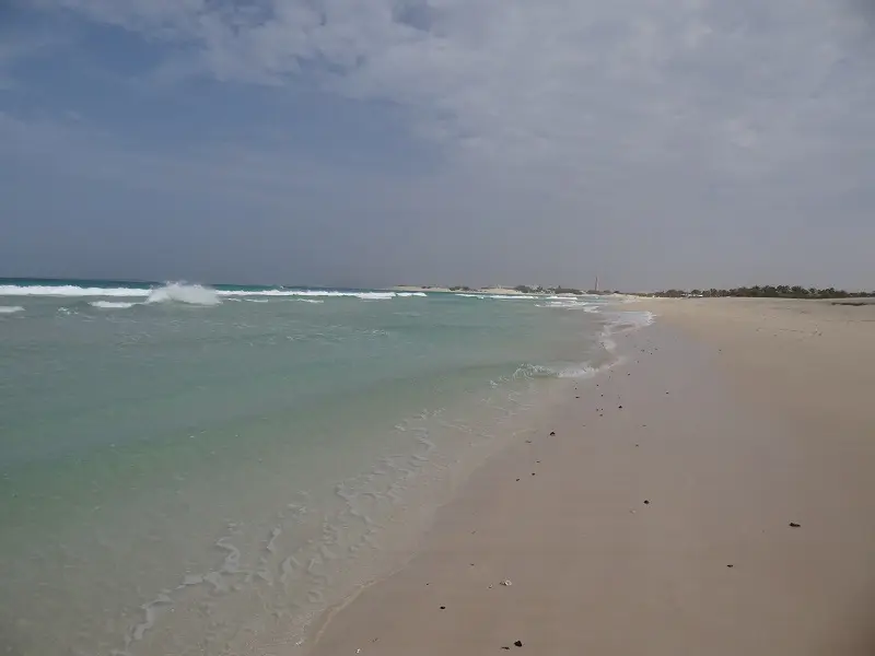 DSC04401-2.JPG