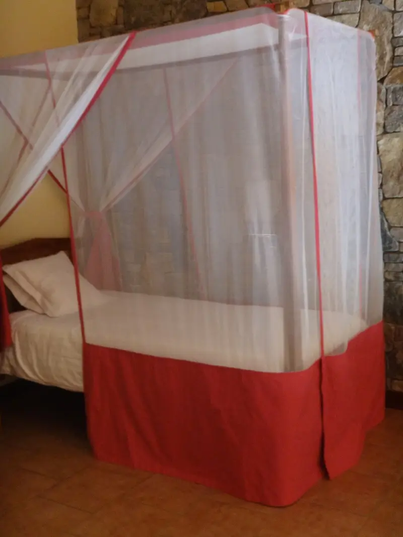DSC04411.JPG