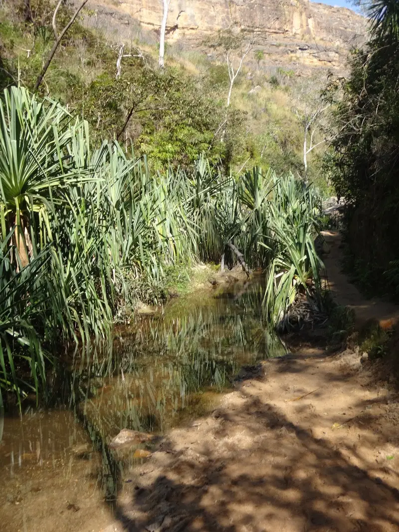 DSC04480-2.JPG