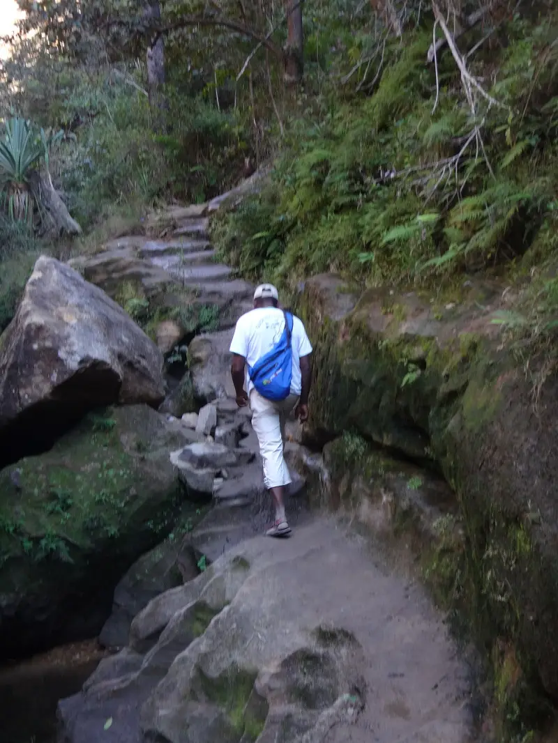 DSC04482-2.JPG