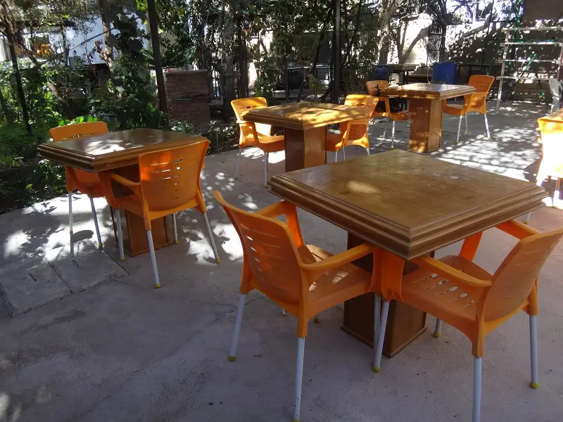 DSC04534-2.JPG