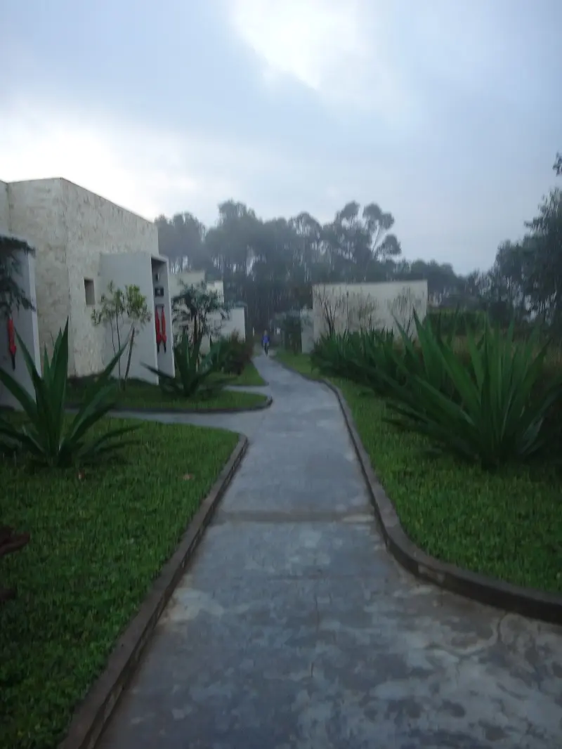 DSC04736-2.JPG