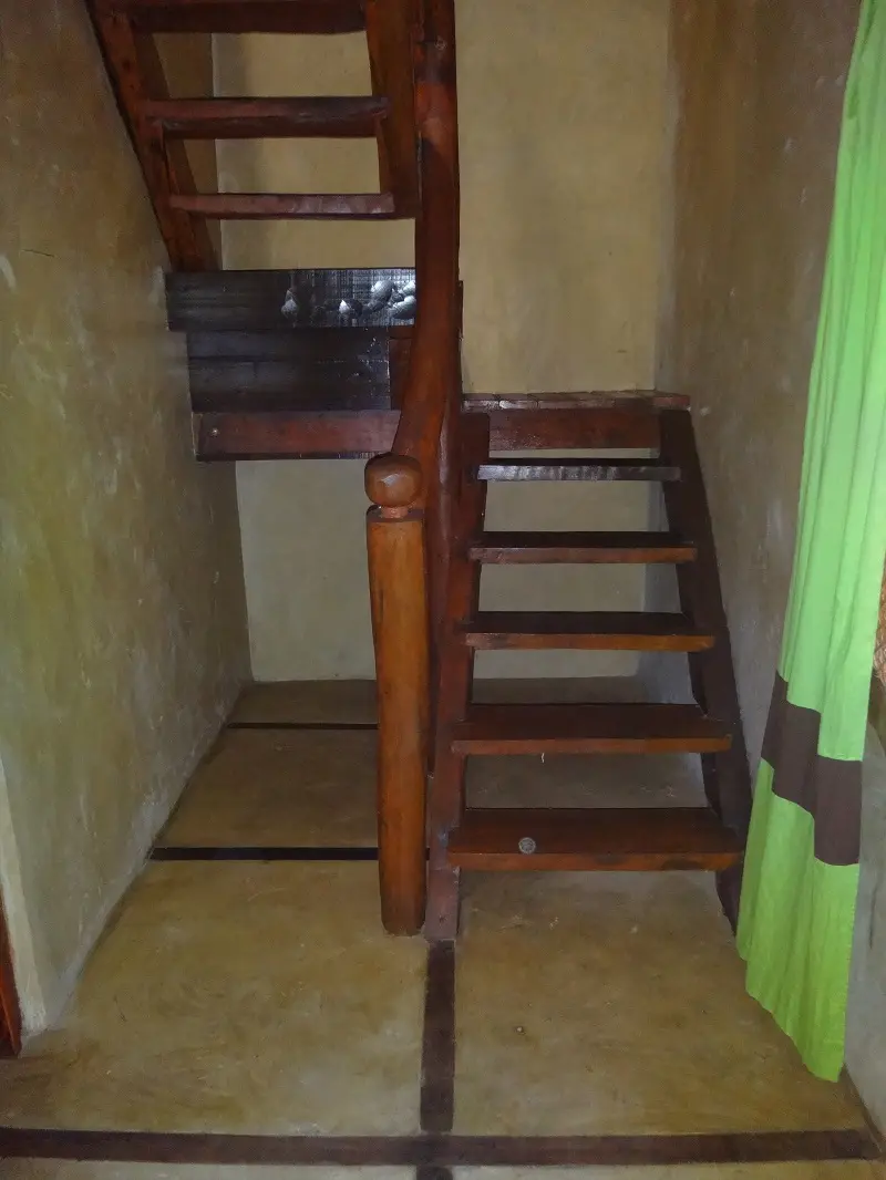 DSC04797-2.JPG