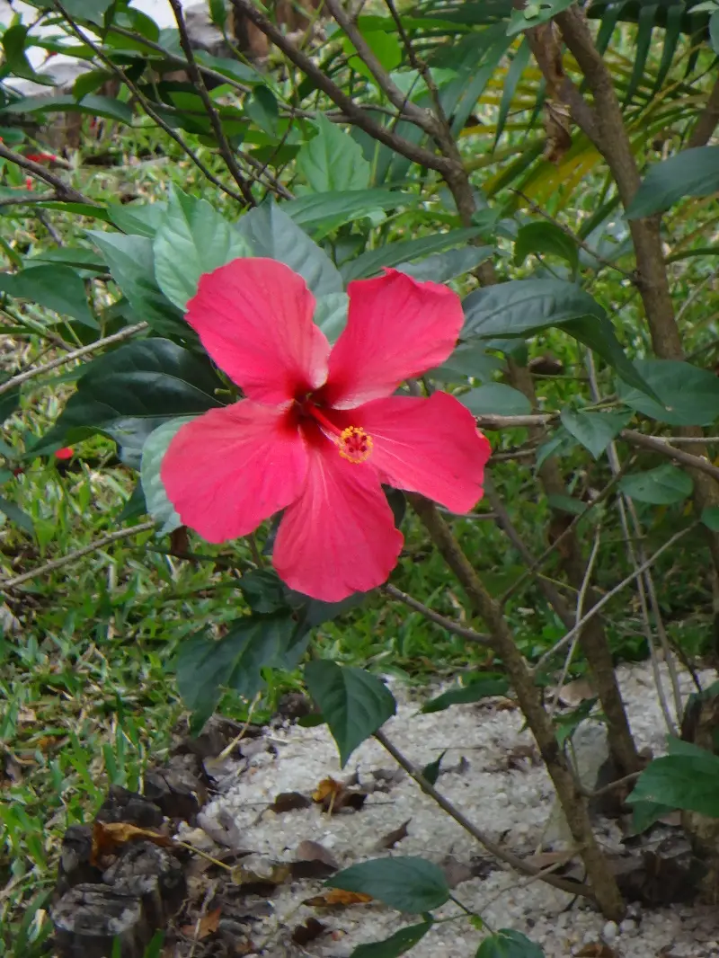 DSC04814.JPG