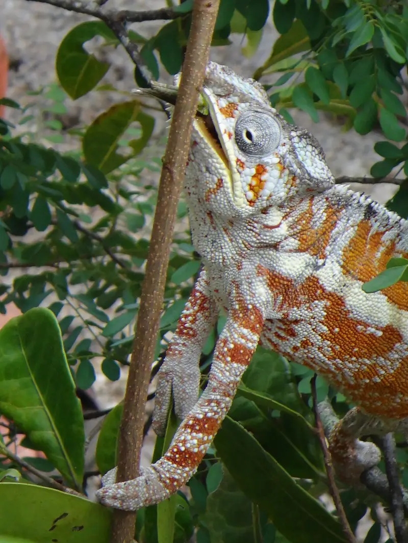 DSC04830.JPG
