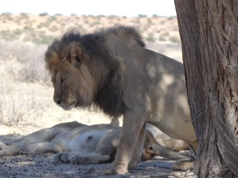 DSC04897.JPG