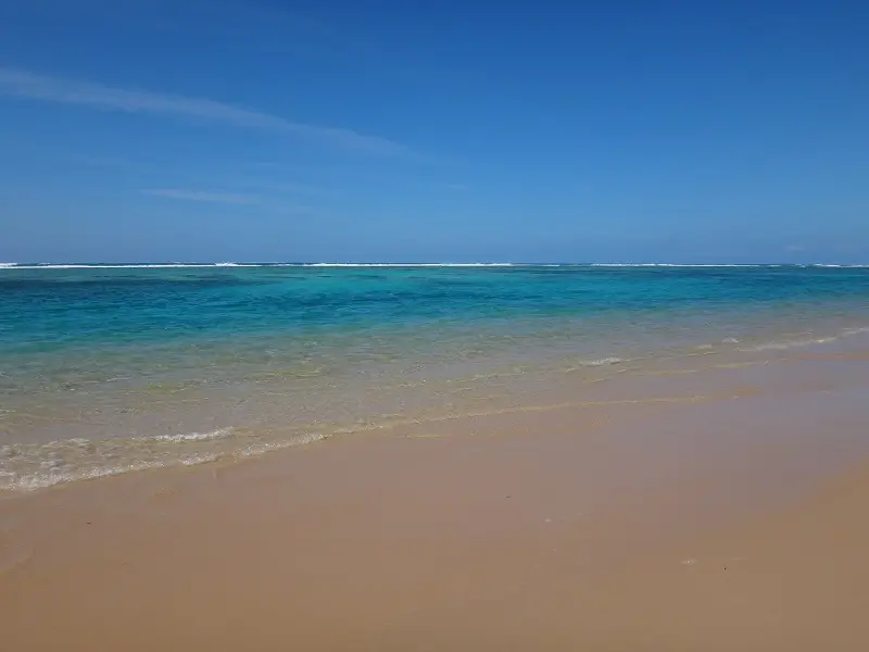 DSC05174-2.JPG