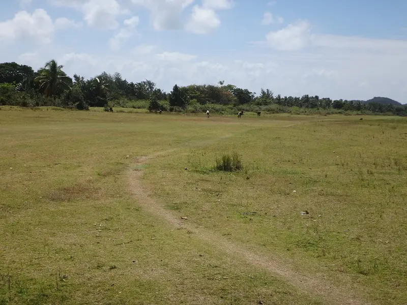 DSC05208-2.JPG