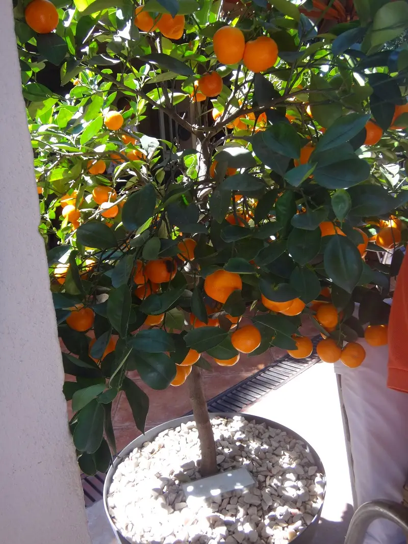 DSC05315.JPG