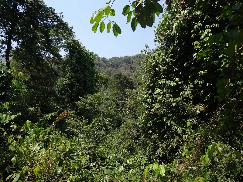 DSC05386.JPG