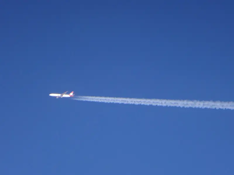 DSC05766.JPG