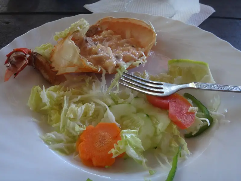 DSC05890-2.JPG