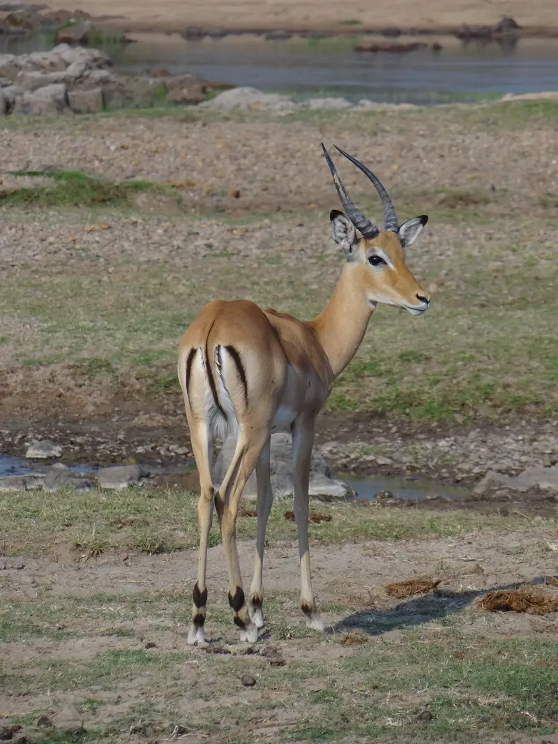 DSC05900-2.JPG
