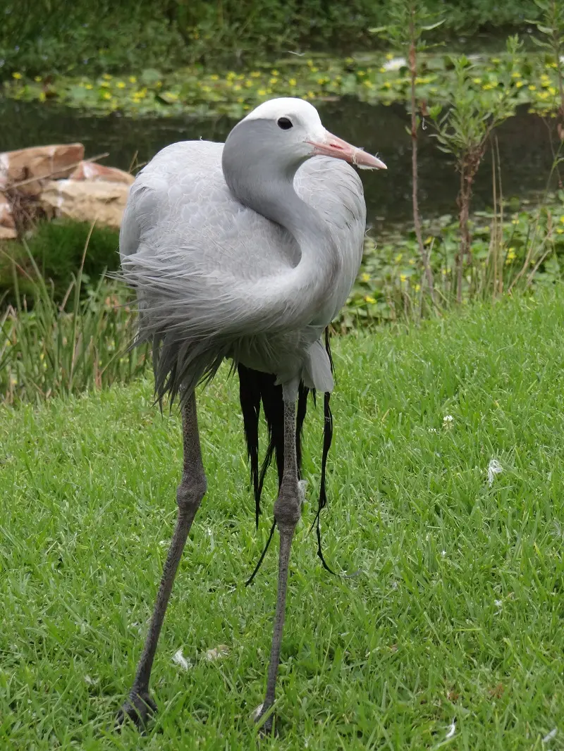 DSC06001.JPG