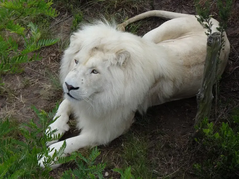 DSC06004.JPG