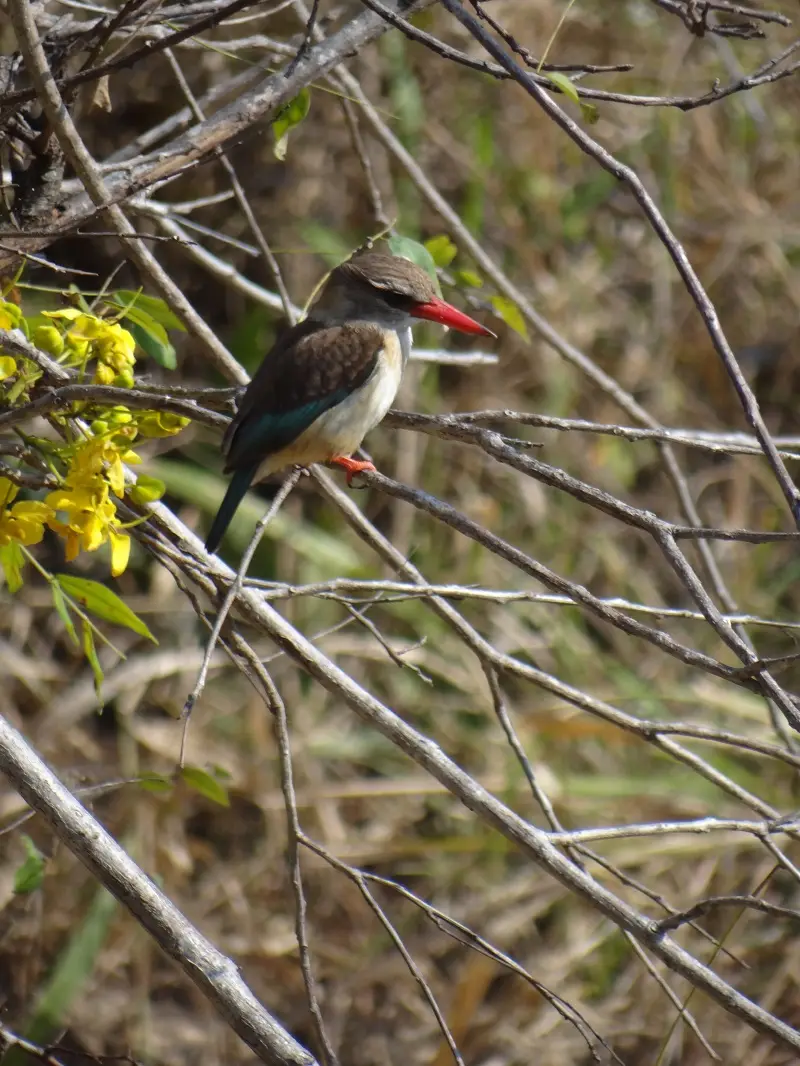 DSC06089-2.JPG