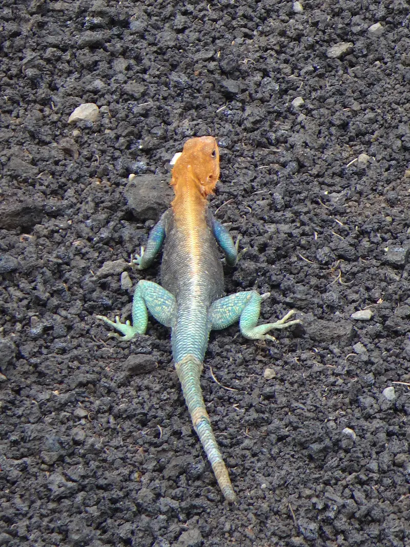 DSC06124.JPG