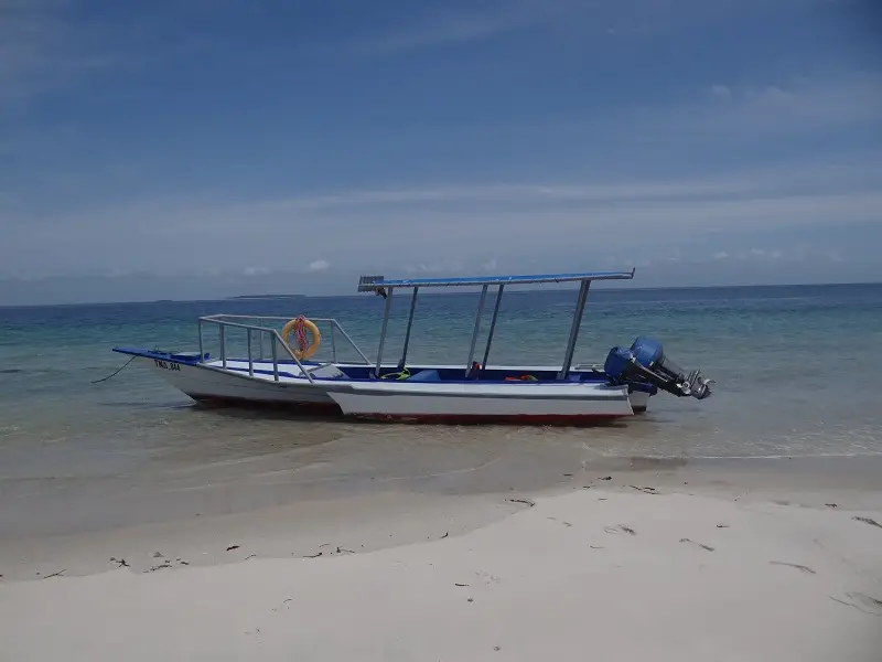 DSC06372-2.JPG