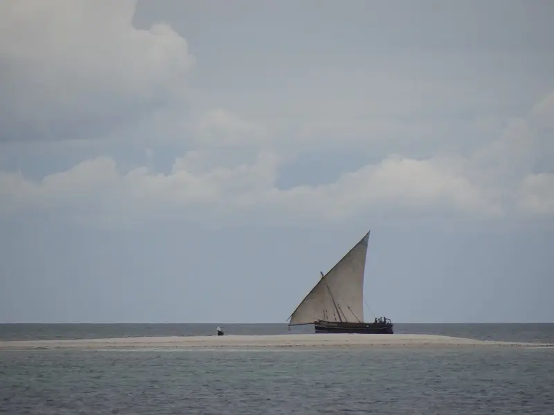 DSC06496-2.JPG