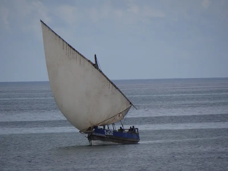 DSC06578-2.JPG