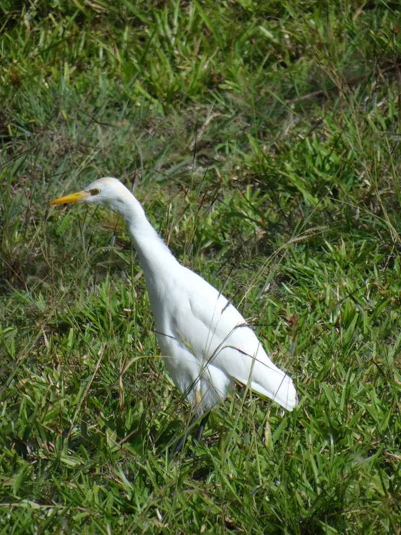 DSC06604.JPG