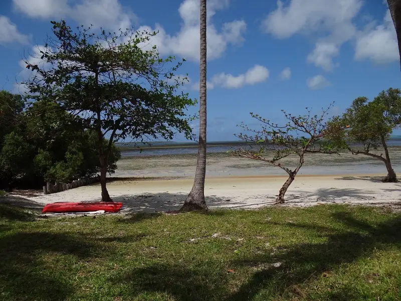 DSC06635-2.JPG