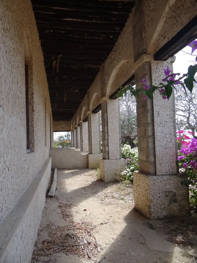 DSC06656-2.JPG