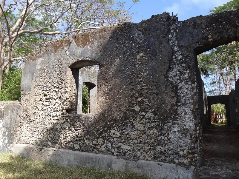 DSC06658-2.JPG