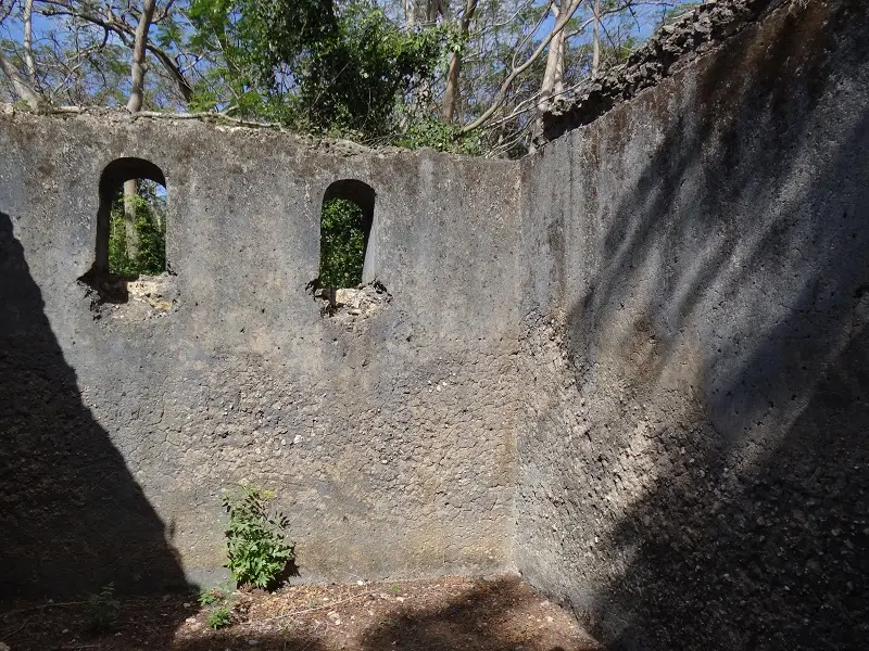DSC06660-2.JPG
