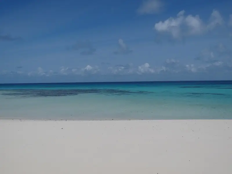 DSC06743.JPG