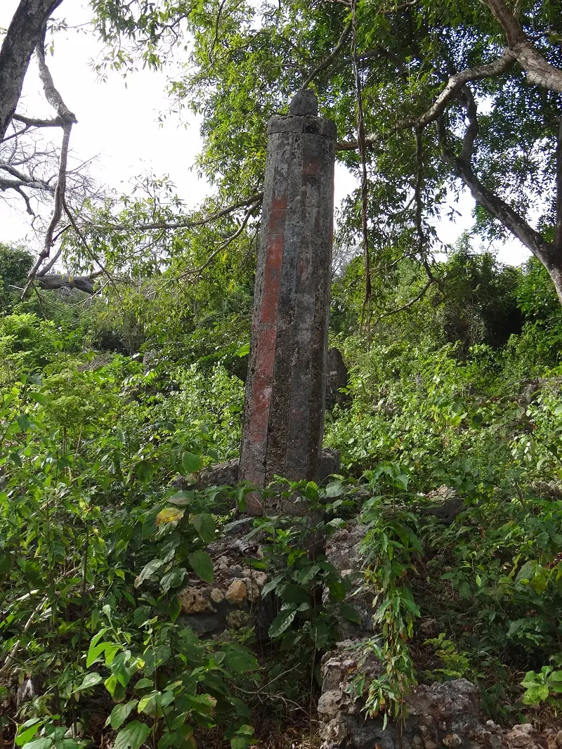 DSC06822.JPG