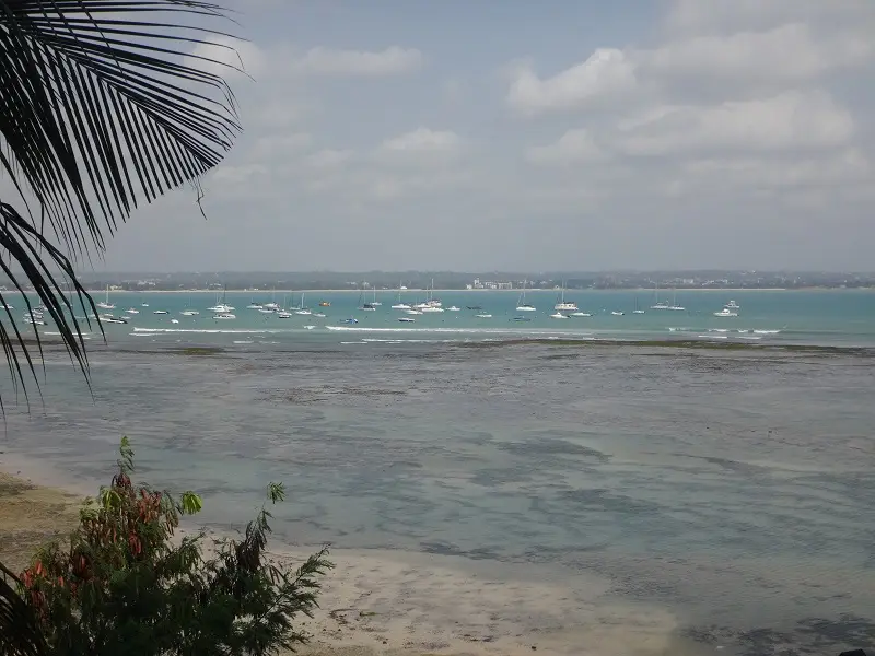 DSC06924.JPG