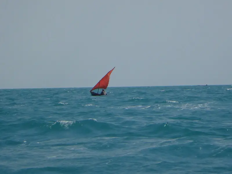 DSC06977.JPG
