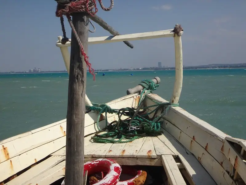 DSC07043.JPG