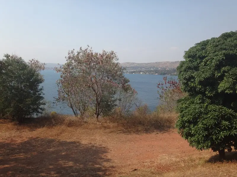 DSC07215.JPG
